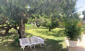 Imagem 5: Chacara para temporada e eventos