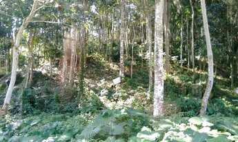 Imagem 7: Terreno 500 m2 Em Cotia