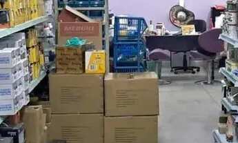 Imagem 7: Pet Shop Barueri. Ref; 1023