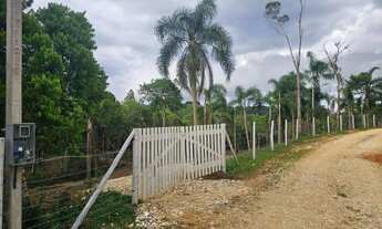 Imagem 3: Belas Áreas a venda Roseira , ótima oportunidade