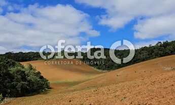 Imagem 4: Chácara em Contenda