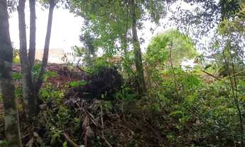 Imagem 2: TERRENO SÃO JOSÉ DOS PINHAIS