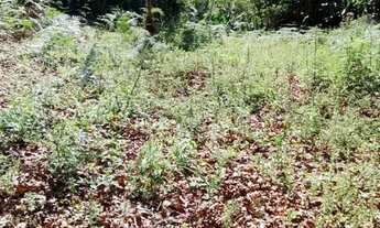 Imagem 7: Grande oportunidade em Marechal Floriano!