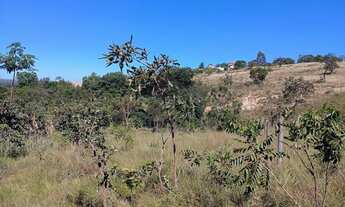 Imagem 7: Lote em Felixlândia