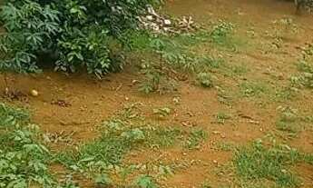 Imagem 2: Casa 3qts Jardim ga ,casa 3qts ,kits,apartamento, casa,lotes