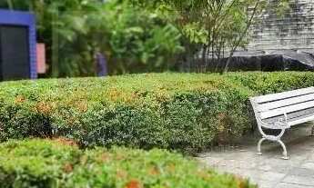 Imagem 5: EDF MARIA ANGELA - RG - A Miranda