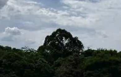 Imagem 16: Terreno à venda Condomínio Belvedere 1