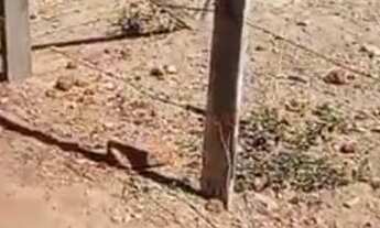 Imagem 5: Vendo ou troco em carro do meu interesse lote na samambaia norte abaixo da quadra 623