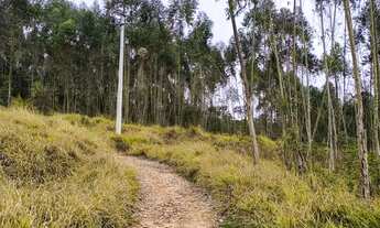 Imagem 6: TERRENOS EM COTIA