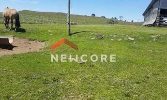 Imagem 3: Fazenda em Lageado Grande - Tainhas - São Francisco de Paula/RS