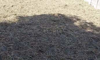 Imagem 4: Terreno à venda em Campinas, Parque Taquaral, com 5116 m²