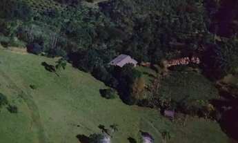 Imagem 5: Sítio em Morro Calçado - Morro Calçado - Canela/RS