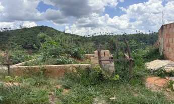 Imagem: Meio Lote Castanheira Santa Luzia