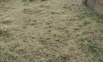 Imagem 3: Terreno 350m2 Terreno / lote com venda por R$80.000