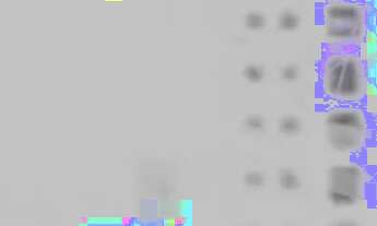 Imagem 5: Fluence Marista - Apartamento 3 quartos, sendo 3 suítes