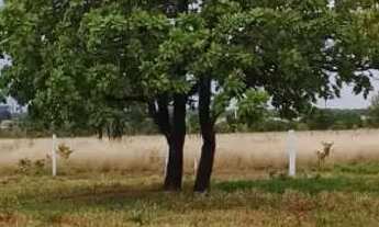 Imagem 6: Chácaras a venda em Condomínio Rural com infraestrutura completa