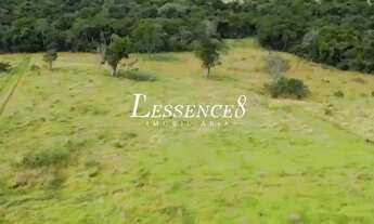 Imagem 5: Terreno com 20.000m² | GO 080