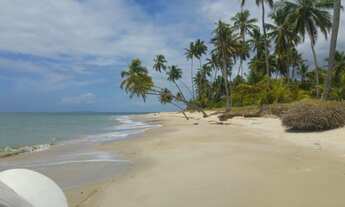 Imagem: Chácaras Ilha Dajuda - Praia dos Garcez