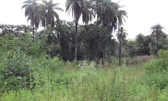 Imagem 7: Serra do Cipó Linda chácara de 1.500 m², localizada a apenas 100 metros do Rio Cipó