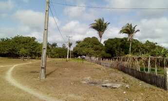 Imagem: Fazenda em Chapadinha as margens do rio