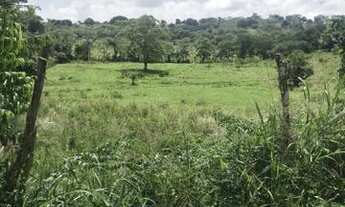 Imagem: Vendo Fazenda e Terreno