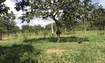 Imagem: Oportunidade chácara de 2500 metros de