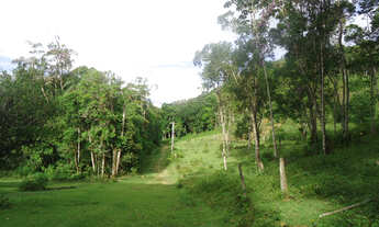 Imagem 2: Sitio valor R$ 8.500,00 cada hectares