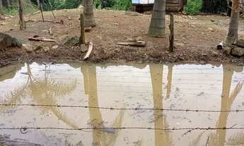 Imagem 4: Sitio de lazer casa madeira simples