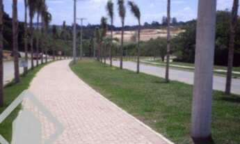 Imagem 6: PORTO ALEGRE - Terreno Padrão - Vila Nova