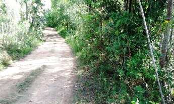 Imagem 5: Excelente Chácara Com 30.000 m2valor 300.000.00 vende 10.000 m2 100.000