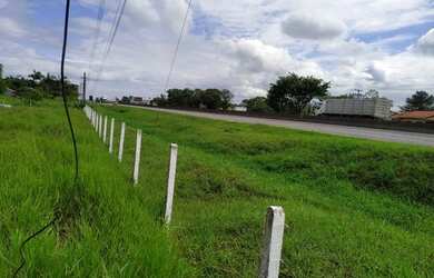 Imagem 7: Terreno de frente p BR 101em Araquari-SC