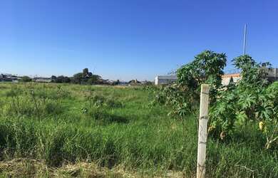 Imagem 6: Oportunidade para Atacadão ou Atacarejo