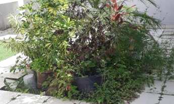 Imagem 4: Sobrado com 4 dorm - 3 vagas - prox. mar - Centro -Bertioga