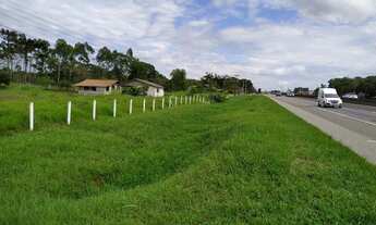 Imagem 5: Terreno de frente p BR 101em Araquari-SC