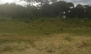 Imagem 7: Excelente Chácara com 3.500 m2 170.000.00 Campo Largo da Roseira