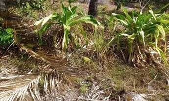 Imagem 3: Terreno Terreno / lote com venda por R$18.000