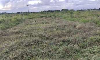 Imagem 4: Vendo um lote medindo 8x20 no povoado Miranda