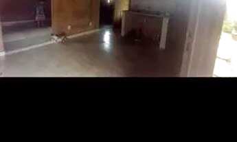 Imagem 5: Alugo casa Casa com 2 dormitórios