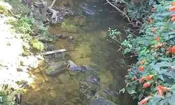 Imagem 7: Casa paraiso da serra - Sao Bento Sapucai - Centro -3 quartos