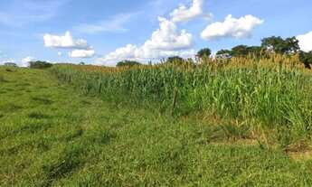 Imagem 3: Fazenda com Ótima Localização em Unaí