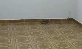 Imagem 7: Alugo Casa no Anália Franco