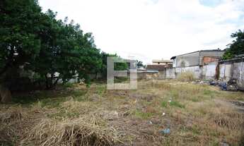 Imagem 2: Terreno em São José