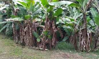 Imagem 6: Sitio a venda Chácara com venda por R$850.000