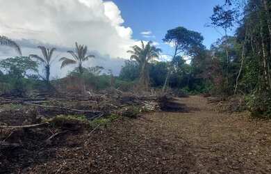 Imagem 2: TERRENO PLANO PARA SÍTIO NO KM26 DA AM 070 PRÓXIMO DO ASFALTO COM ENERGIA ELÉTRICA