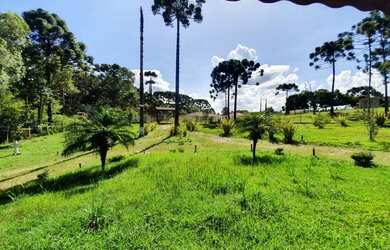 Imagem 6: CHÁCARA Chácara com venda por R$1.200.000