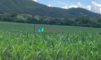 Imagem 2: PITANGUI - Fazenda - Zona Rural