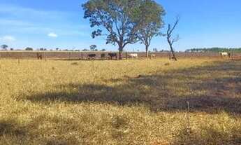 Imagem: Chácara próxima a Goiânia em Guapo com