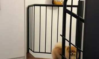 Imagem 6: COBERTURA - JARDIM LEONOR - SP