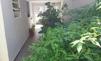 Imagem 5: CASA TÉRREA - PARQUE TERRA NOVA - SP