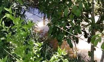 Imagem 5: Ótima oportunidade chácara 5000² casa com 4 cômodos